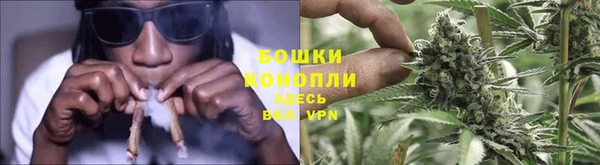 молекула духа Карпинск