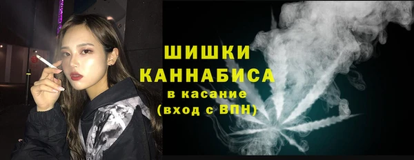 молекула духа Карпинск