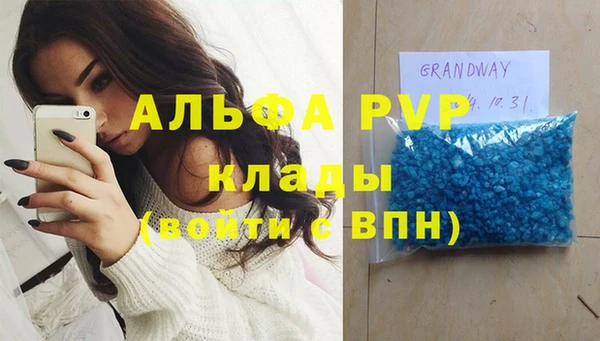молекула духа Карпинск
