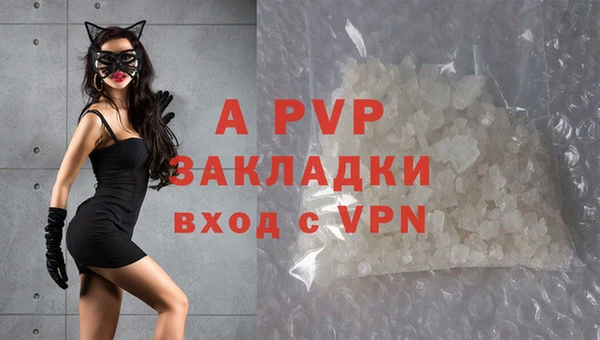 молекула духа Карпинск
