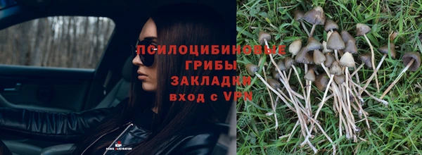 молекула духа Карпинск