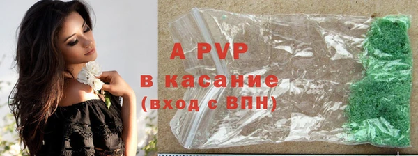 молекула духа Карпинск