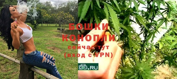 молекула духа Карпинск