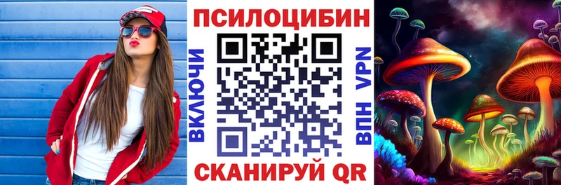 Купить закладки  Калининец  Псилоцибиновые грибы ЛСД 